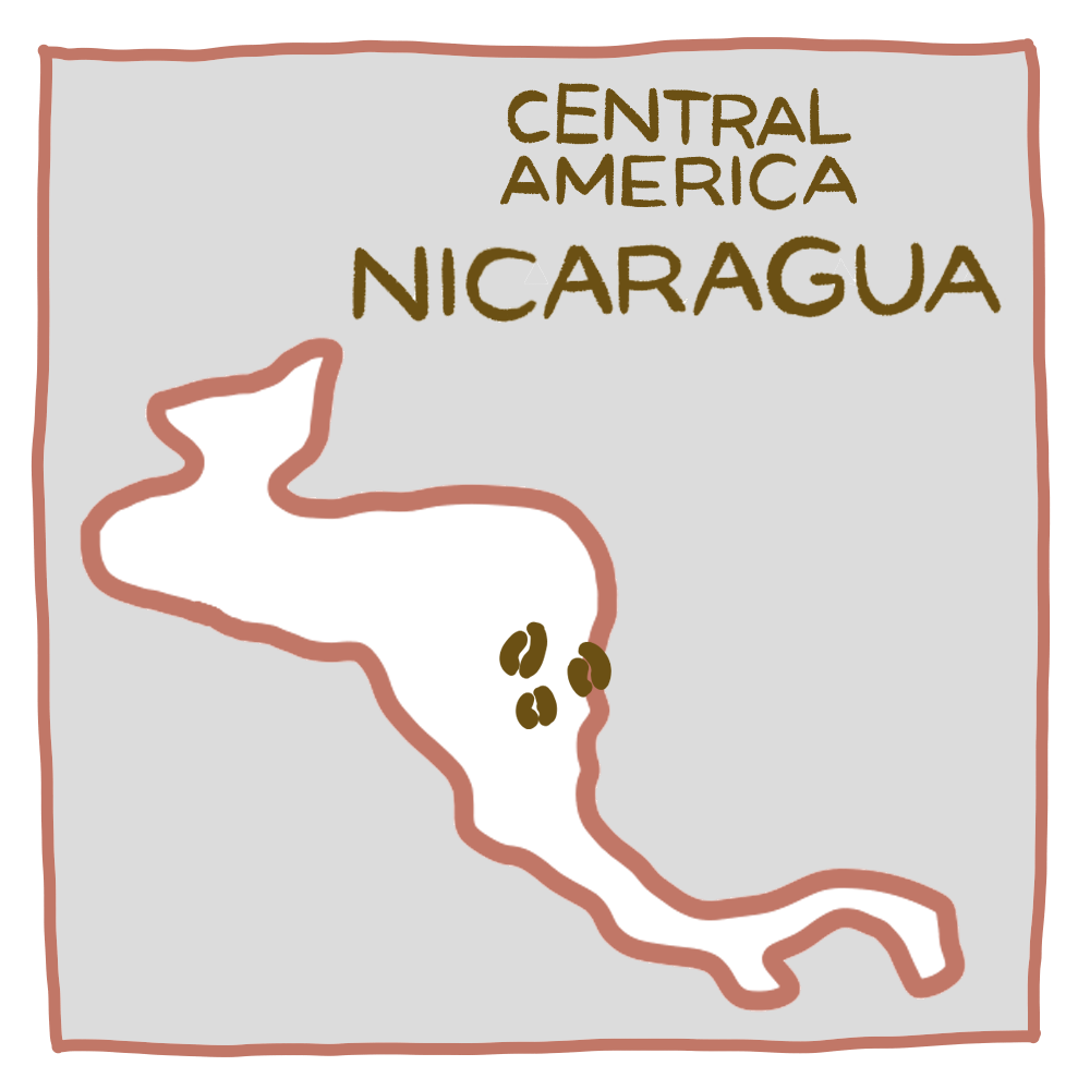 ＜掛耳包5入組＞ 尼加拉瓜 蠻牛莊園 紅蠻牛 |  黃蜜處理
